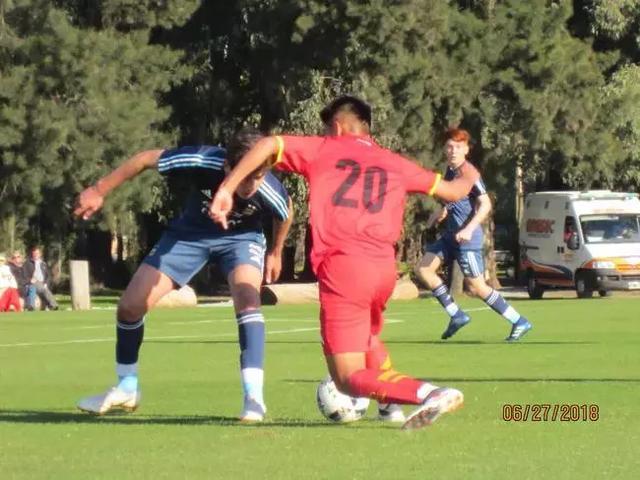 华体会- 霍芬海姆，青训成果显著，U19梯队包揽双冠  